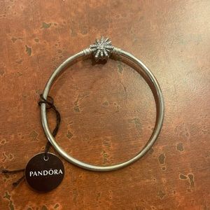 Pandora bracelet